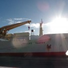 Hellas Reefer 4